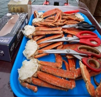 阿瓦查灣船上海釣饗宴