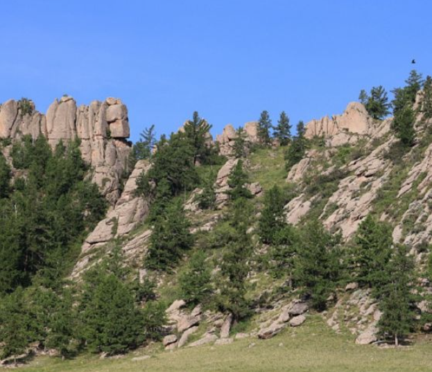 特勒吉國家公園