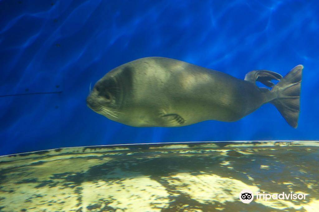貝加爾湖生態博物館