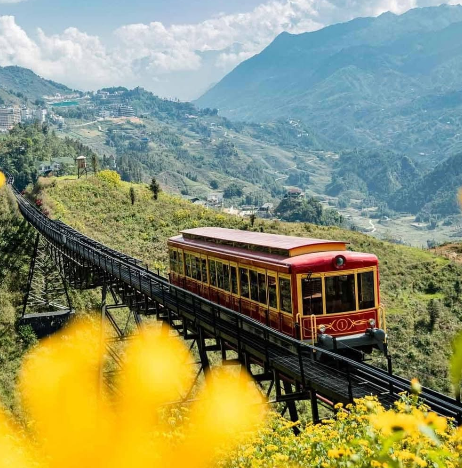 芒花登山列車