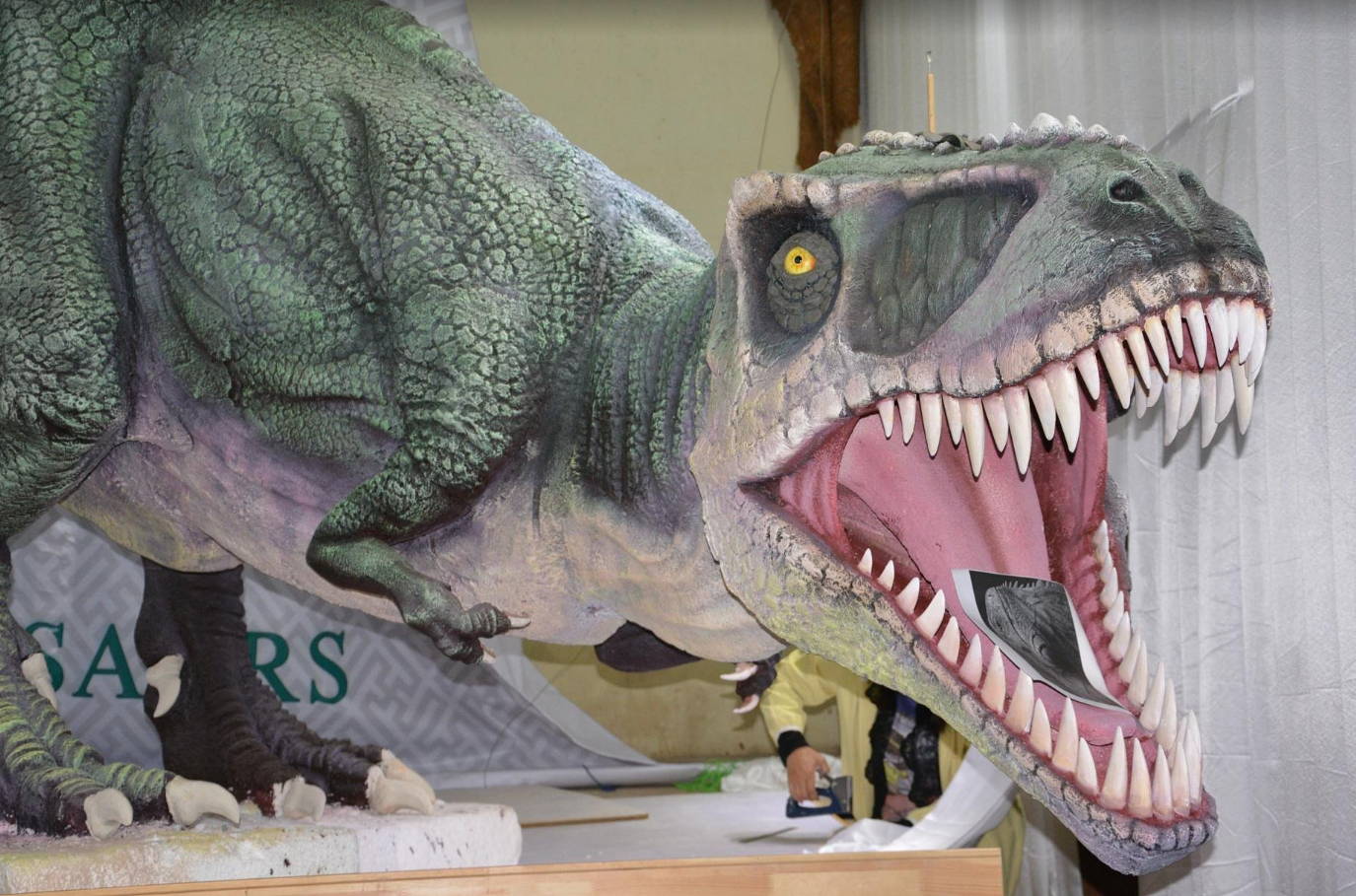 蒙古國家自然博物館