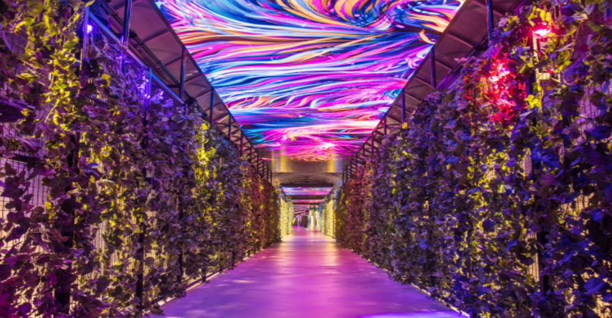 丹陽垂楊介光之隧道