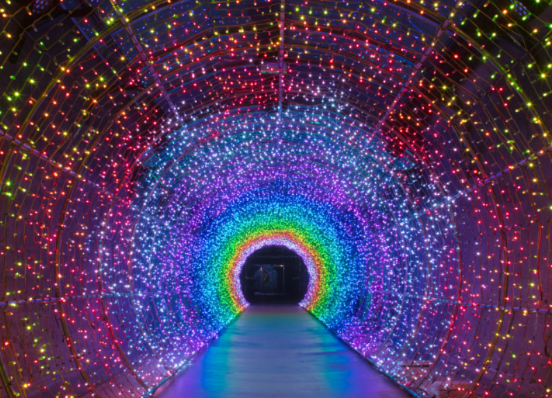 丹陽垂楊介光之隧道