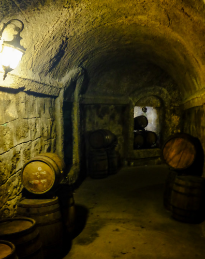 法國山城百年酒窖