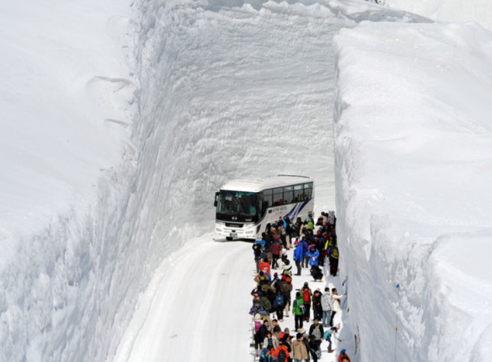 雪之大谷、室堂（立山主峰）～立山高原巴士