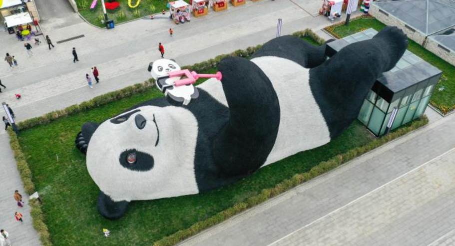 仰天窩網紅自拍熊貓