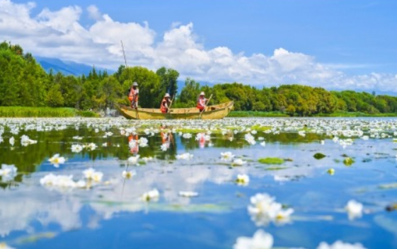 洱海生態廊道＋電瓶車