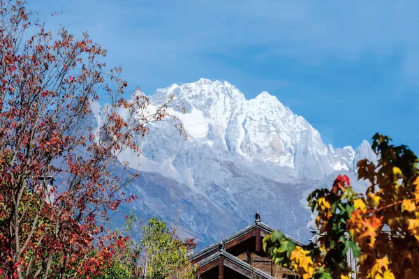 金林豪生大酒店