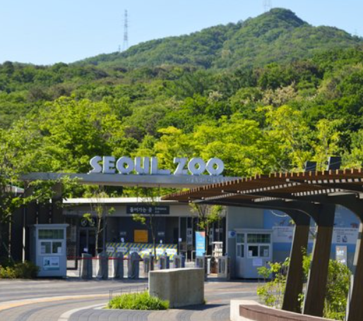 首爾動物園