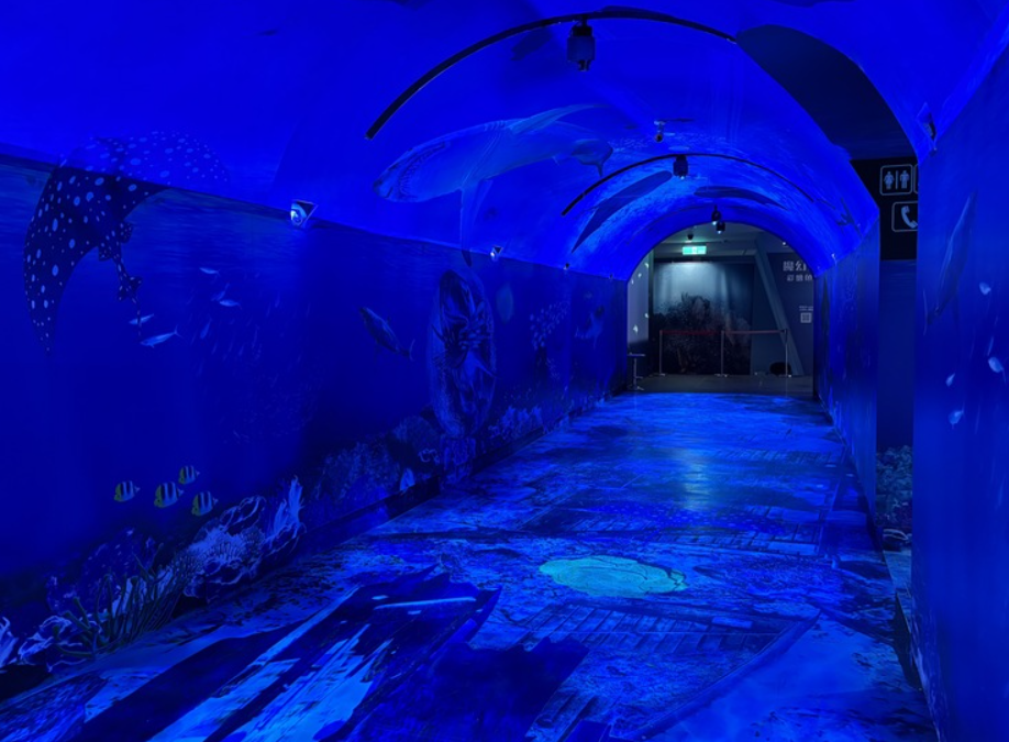 廣富林水下博物館