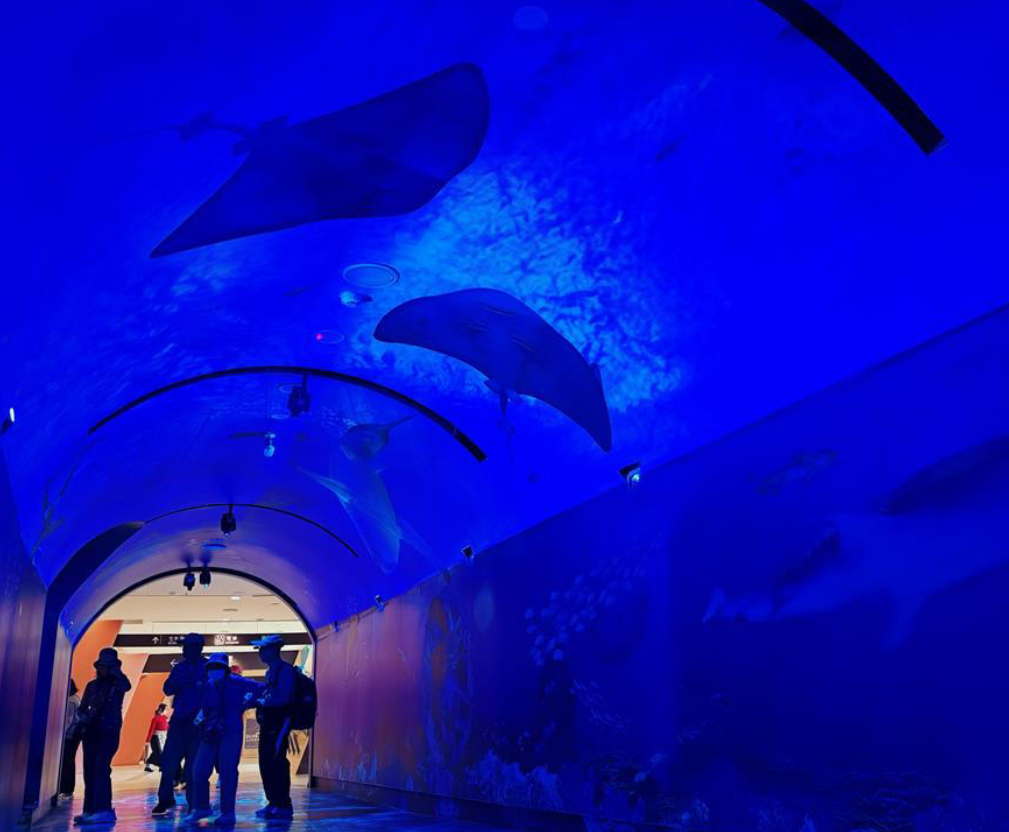 廣富林水下博物館