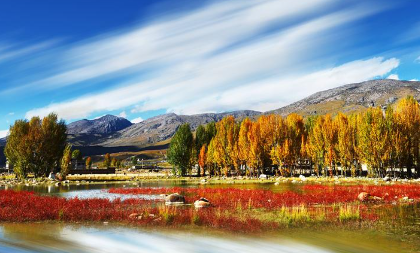 稻城桑堆紅草地