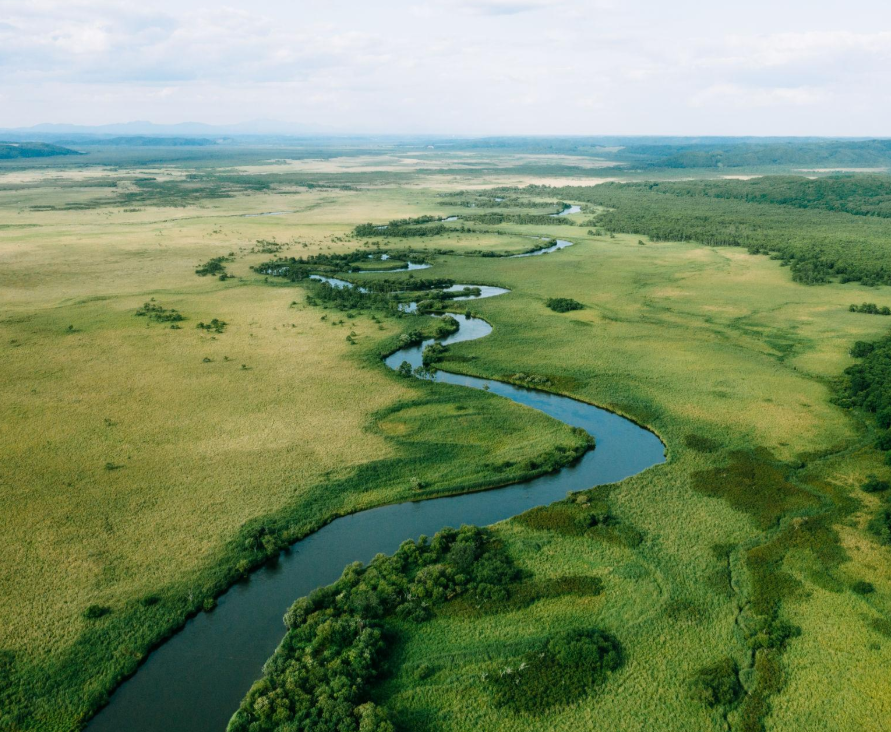 釧路濕原