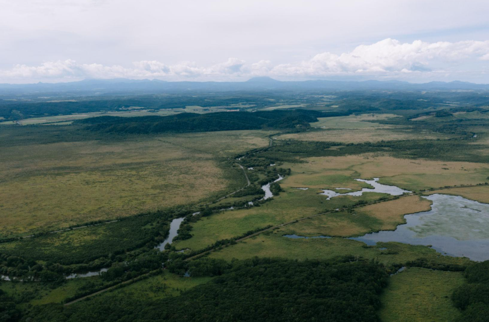 釧路濕原