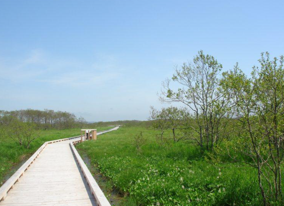釧路濕原