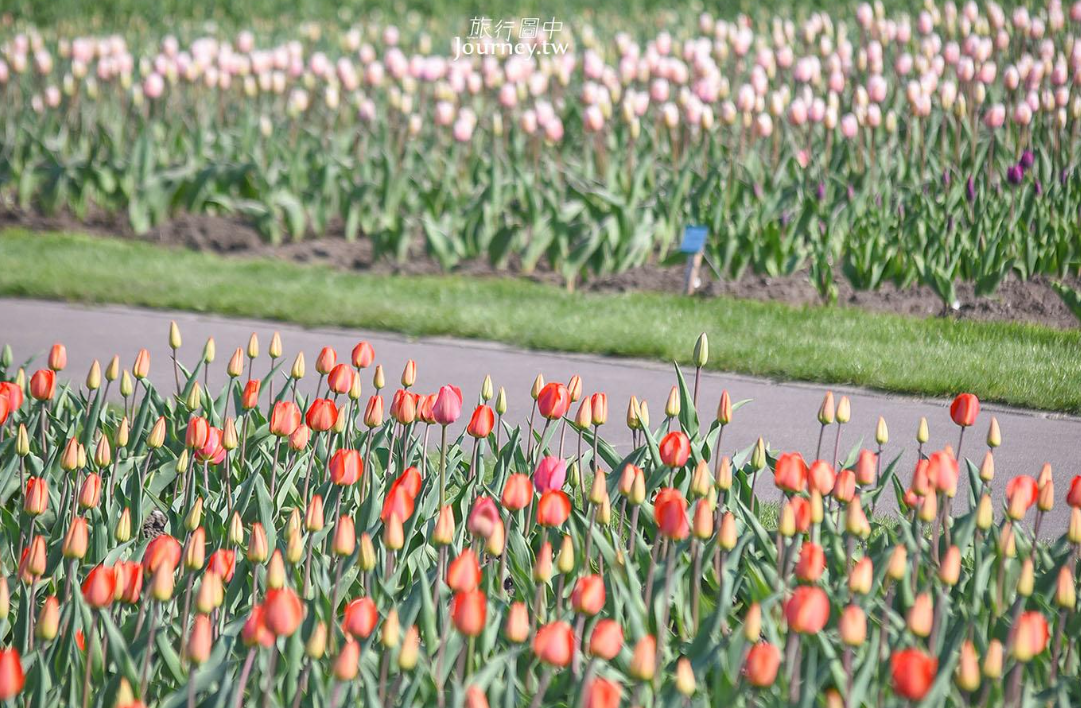 上湧別鬱金香公園