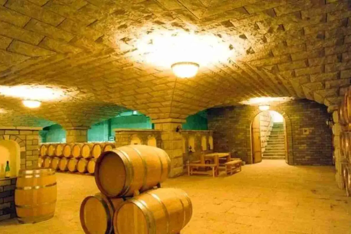 張裕卡斯特酒莊