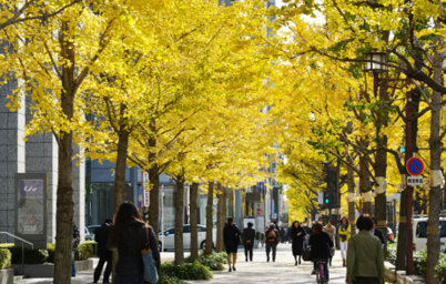 心齋橋/道頓堀/御堂筋大道