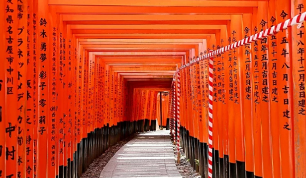 京都伏見稻荷神社